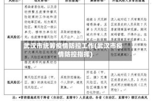 武汉市统筹疫情防控工作(武汉市疫情防控指挥)