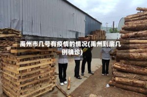 禹州市几号有疫情的情况(禹州到底几例确诊)