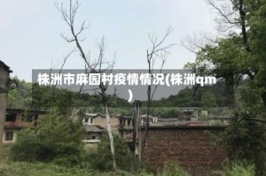 株洲市麻园村疫情情况(株洲qm)