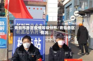 青岛市各区疫情等级分布/青岛各区情况