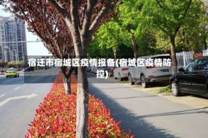 宿迁市宿城区疫情报备(宿城区疫情防控)