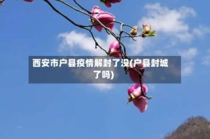 西安市户县疫情解封了没(户县封城了吗)