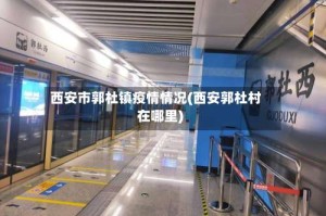西安市郭杜镇疫情情况(西安郭杜村在哪里)