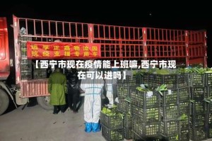 【西宁市现在疫情能上班嘛,西宁市现在可以进吗】