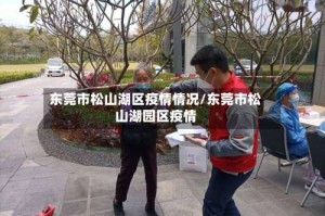 东莞市松山湖区疫情情况/东莞市松山湖园区疫情