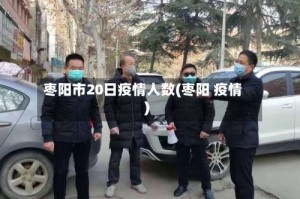 枣阳市20日疫情人数(枣阳 疫情)