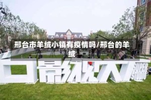 邢台市羊绒小镇有疫情吗/邢台的羊绒