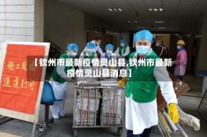 【钦州市最新疫情灵山县,钦州市最新疫情灵山县消息】