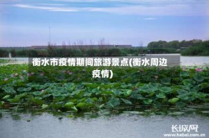 衡水市疫情期间旅游景点(衡水周边疫情)