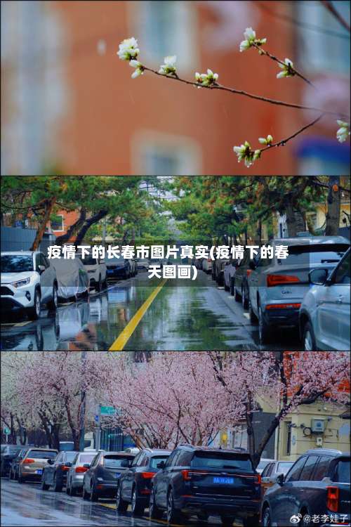 疫情下的长春市图片真实(疫情下的春天图画)-第1张图片