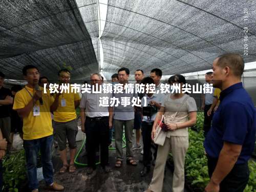 【钦州市尖山镇疫情防控,钦州尖山街道办事处】-第1张图片