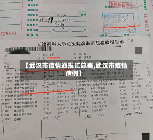 【武汉市疫情通报汇总表,武汉市疫情病例】-第3张图片