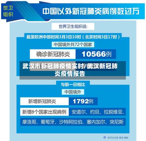 武汉市新冠肺疫情实时/武汉新冠肺炎疫情报告-第1张图片