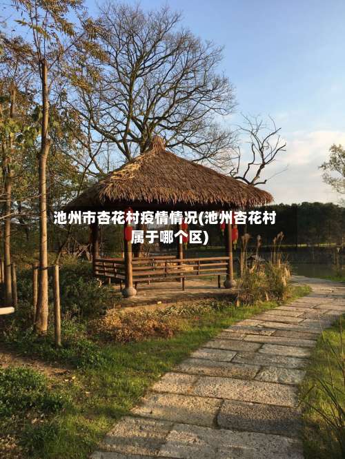 池州市杏花村疫情情况(池州杏花村属于哪个区)-第2张图片