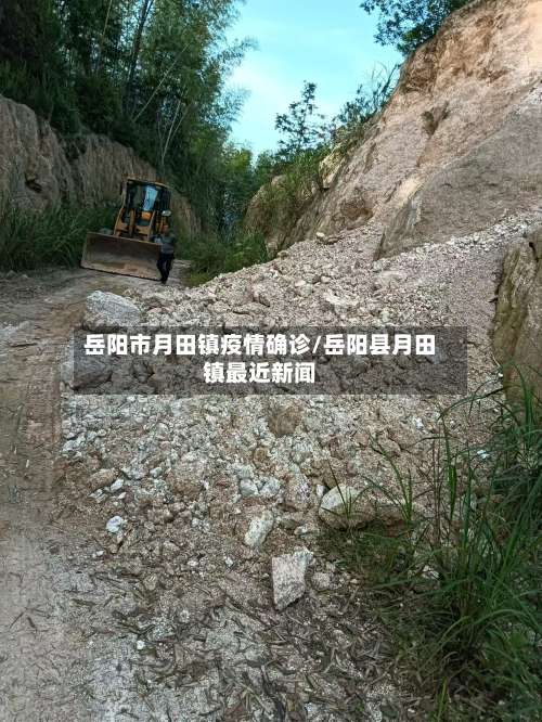 岳阳市月田镇疫情确诊/岳阳县月田镇最近新闻-第1张图片