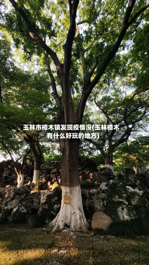 玉林市樟木镇发现疫情没(玉林樟木有什么好玩的地方)-第1张图片