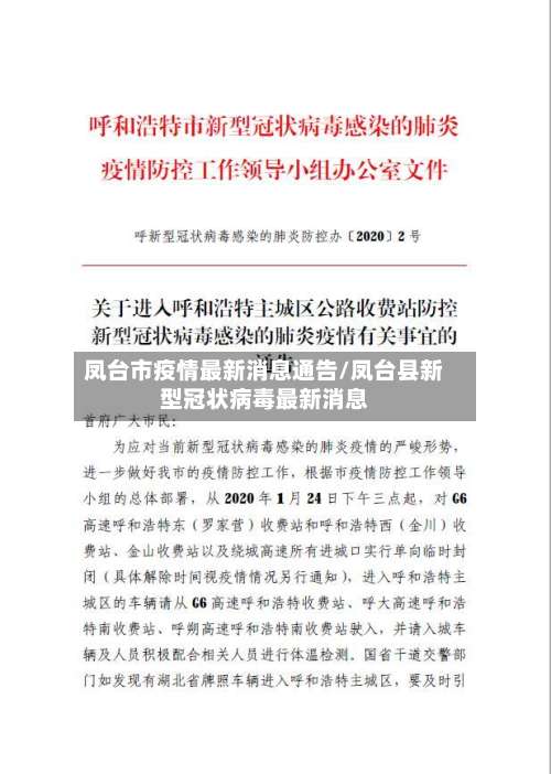 凤台市疫情最新消息通告/凤台县新型冠状病毒最新消息-第2张图片