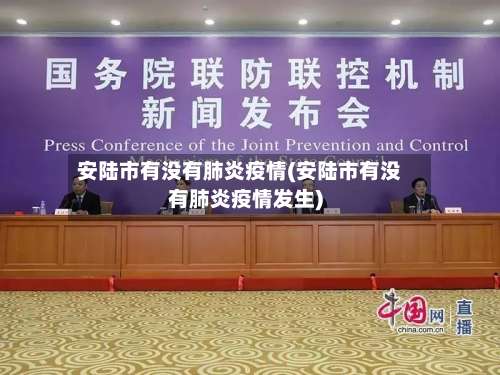 安陆市有没有肺炎疫情(安陆市有没有肺炎疫情发生)-第3张图片
