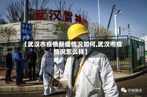 【武汉市疫情新增情况如何,武汉市疫情况怎么样】-第2张图片